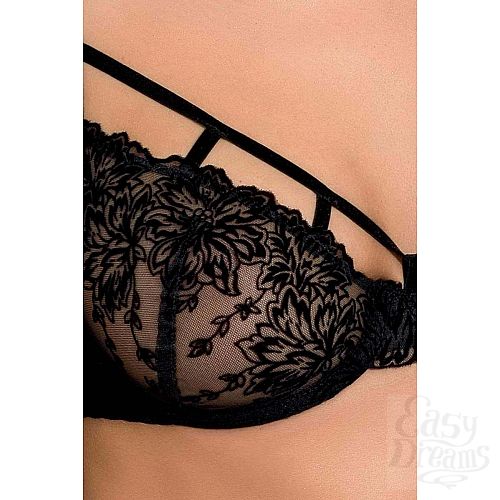 ���������� 3  ����������� �������� � ������ � ���� ������ � ������� Haya