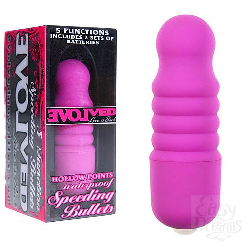  1:       EVOLVED EN-AI-0002-02-2 