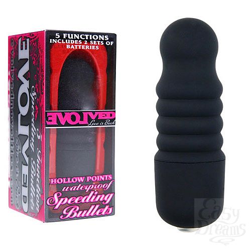 1:       EVOLVED EN-AI-0002-06-2 