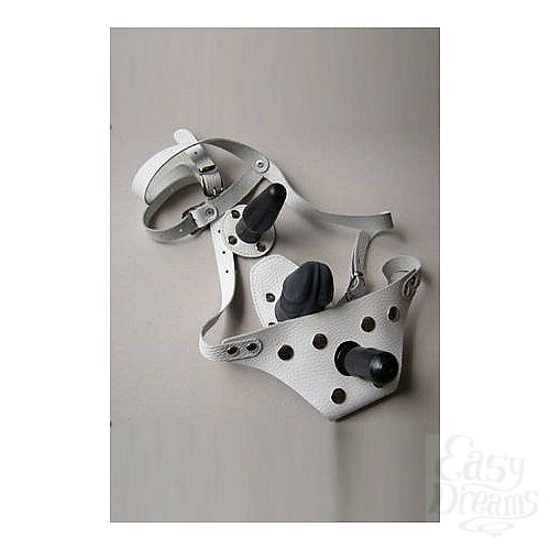 ���������� 1:  ������� THREE �����