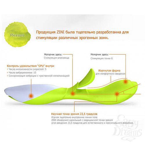  3   - ZINI ZOOK   