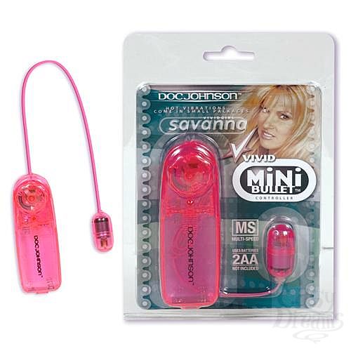  1:   Vivid Savanna 5585-04CDDJ