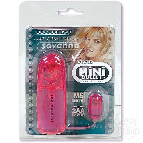  2   Vivid Savanna 5585-04CDDJ