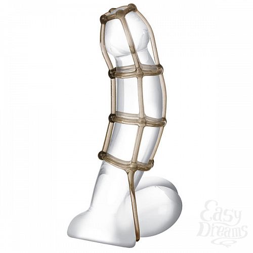  1:      COCK CAGE