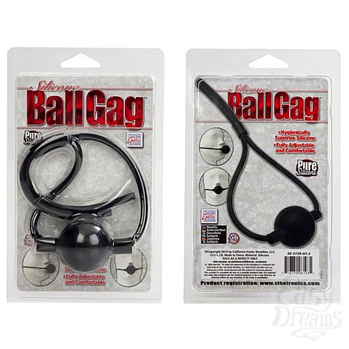  2      BALLGAG