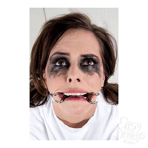  2       Asylum Hook Claw Mouth Spreader 