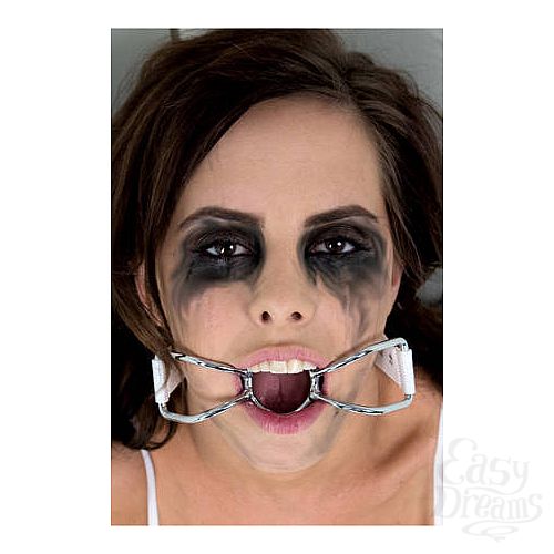  2     Asylum Patient Mouth Restraint 