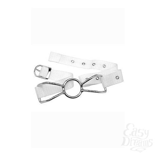  3     Asylum Patient Mouth Restraint 