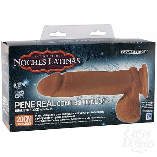 2    NOCHES LATINAS  
