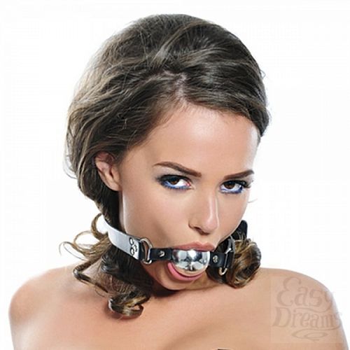  1:     Fetish Platinum Ball Gag, 