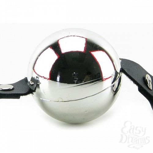 2     Fetish Platinum Ball Gag, 