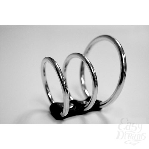  1:  3   Ring Cock Cage