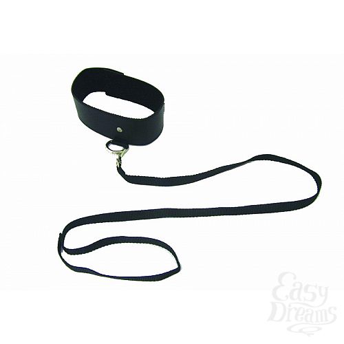  1:     Leash & Collar, 