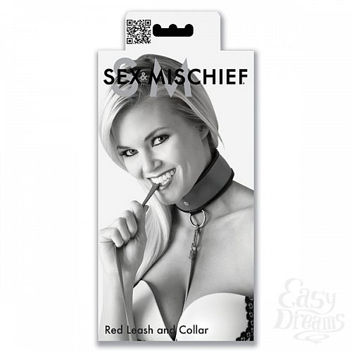  3     Leash & Collar, 