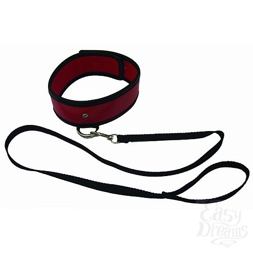  4     Leash & Collar, 
