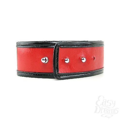 5     Leash & Collar, 