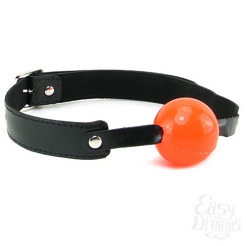  1:        Solid Ball Gag