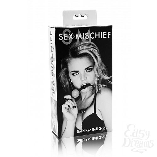  2        Solid Ball Gag