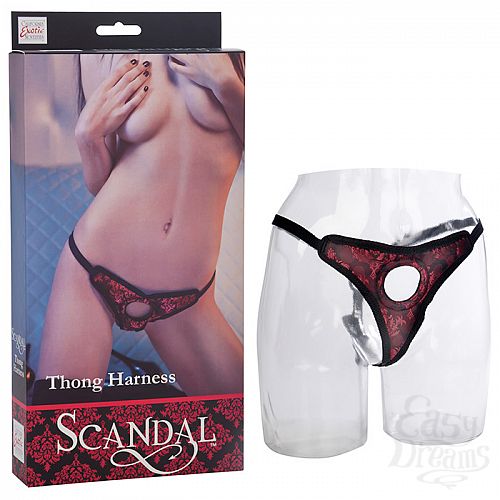 ���������� 1:  ������������ ������� ��� �������� Harness SCANDAL