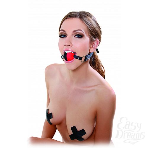  2   FF TWO TONE GAG 213600PD