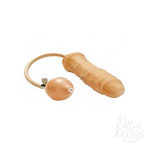 1:    Inflatable Naturel Prosthetic