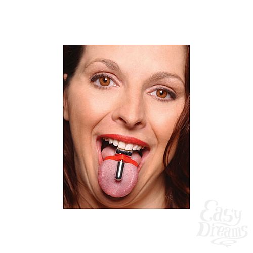 ���������� 1:  ������������ �� ����