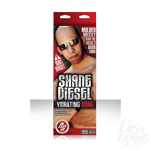 ���������� 1:  �������� SHANE DIESEL, ����� - 25,5 ��.