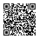    "  ANAL INVADER 1121-00 CD DJ"  