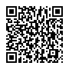    "  Deep Diving Dolphin-Ocean Blue"  